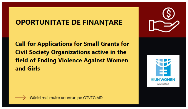 Call for Applications for Small Grants for Civil Society Organizations active in the field of Ending Violence Against Women and Girls 