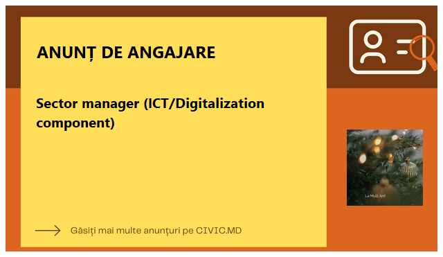Sector manager (ICT/Digitalization component)