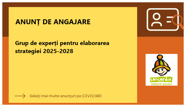 Grup de experți pentru elaborarea strategiei 2025-2028