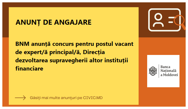 BNM anunță concurs pentru postul vacant de expert/ă principal/ă, Direcția dezvoltarea supravegherii altor instituții financiare