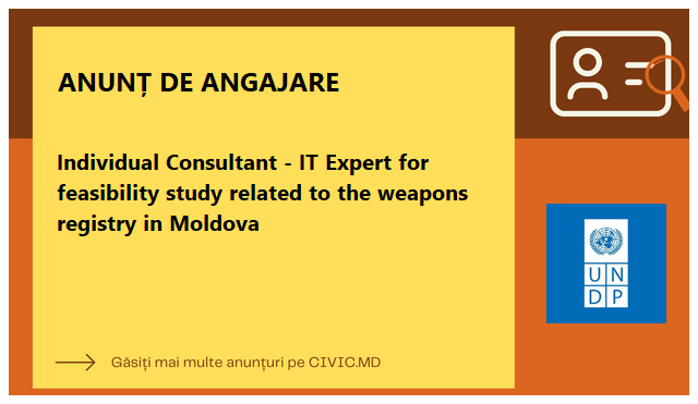 Individual Consultant - IT Expert for feasibility study related to the weapons registry in Moldova