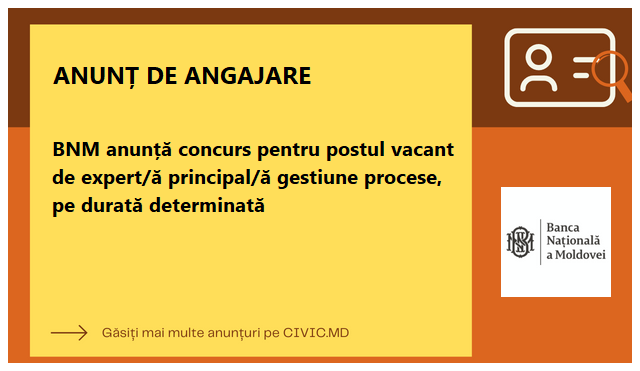 BNM anunță concurs pentru postul vacant de expert/ă principal/ă gestiune procese, pe durată determinată