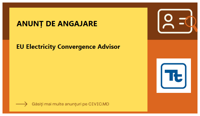 EU Electricity Convergence Advisor