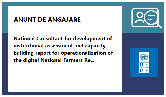 Programul Națiunilor Unite pentru Dezvoltare (PNUD)