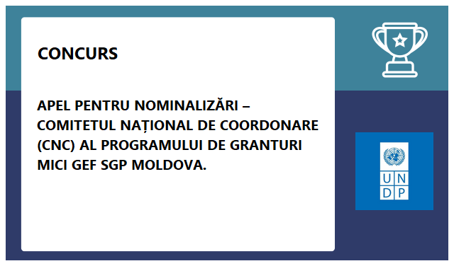 Programul Națiunilor Unite pentru Dezvoltare (PNUD)