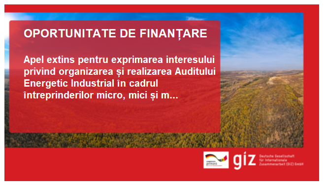 Deutsche Gesellschaft für Internationale Zusammenarbeit (GIZ)