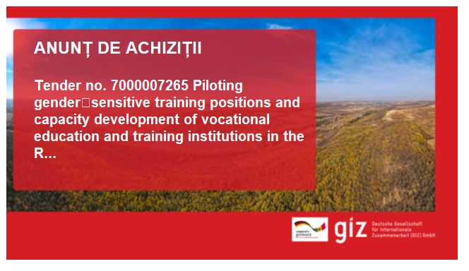 Deutsche Gesellschaft für Internationale Zusammenarbeit (GIZ)