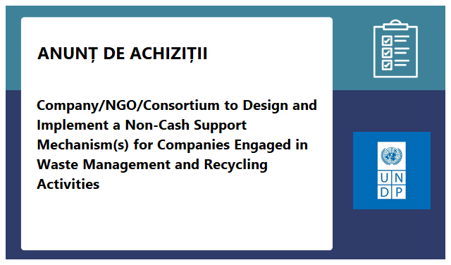 Programul Națiunilor Unite pentru Dezvoltare (PNUD/UNDP)