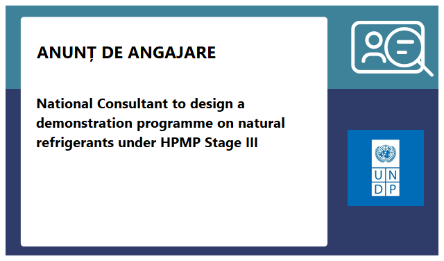 Programul Națiunilor Unite pentru Dezvoltare (PNUD/UNDP) Programul Națiunilor Unite pentru Dezvoltare (PNUD/UNDP)