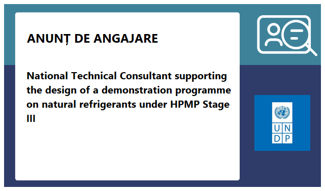 Programul Națiunilor Unite pentru Dezvoltare (PNUD/UNDP) Programul Națiunilor Unite pentru Dezvoltare (PNUD/UNDP)