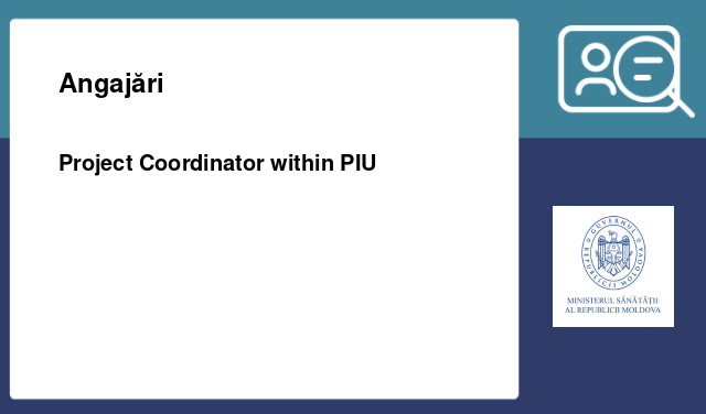 Project Coordinator within PIU
