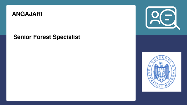 Senior Forest Specialist Senior Forest Specialist