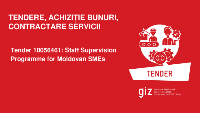 Tender 10056461: Staff Supervision Programme for Moldovan SMEs