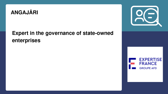 Expert in the governance of state-owned enterprises