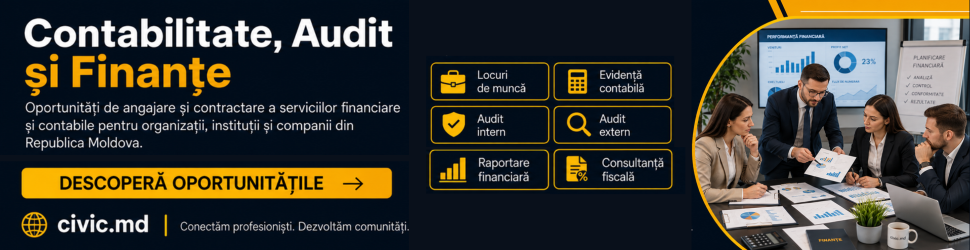 Contabilitate Audit Finante