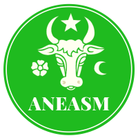 Asociaţia Naţională a Experţilor şi Asistenţilor Sociali din Moldova