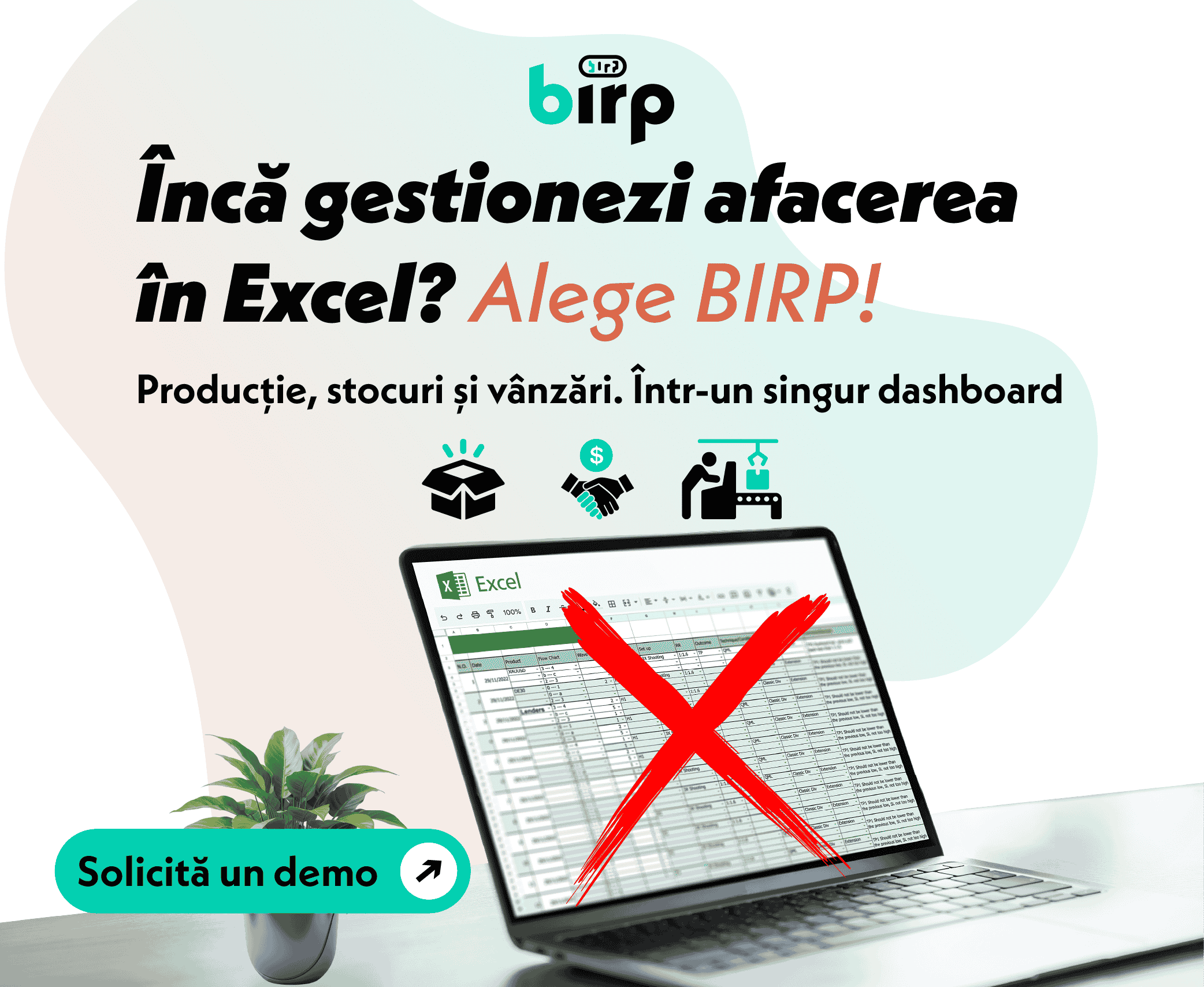 BIRP - ERP Software