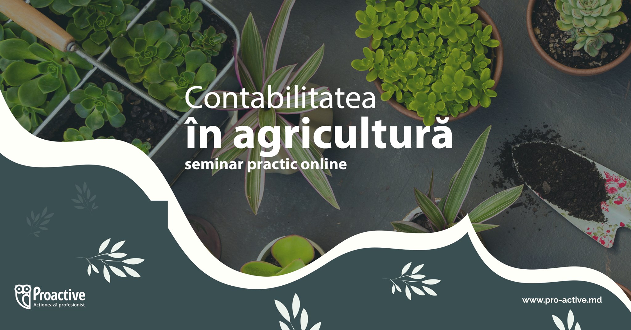 164495559 1602841413247702 4619681592881345861 n