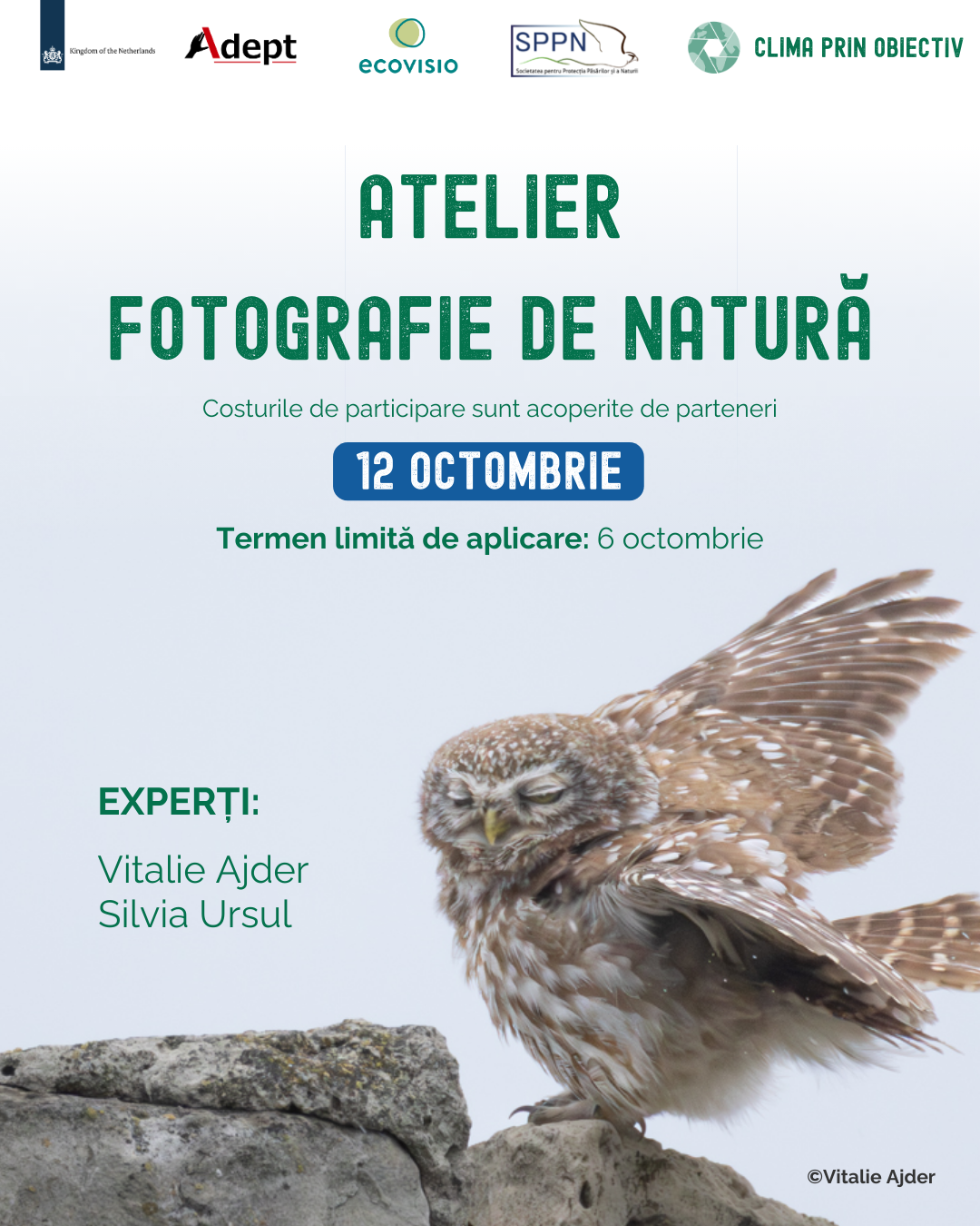 Afișa atelierului de fotografie de natură sălbatică