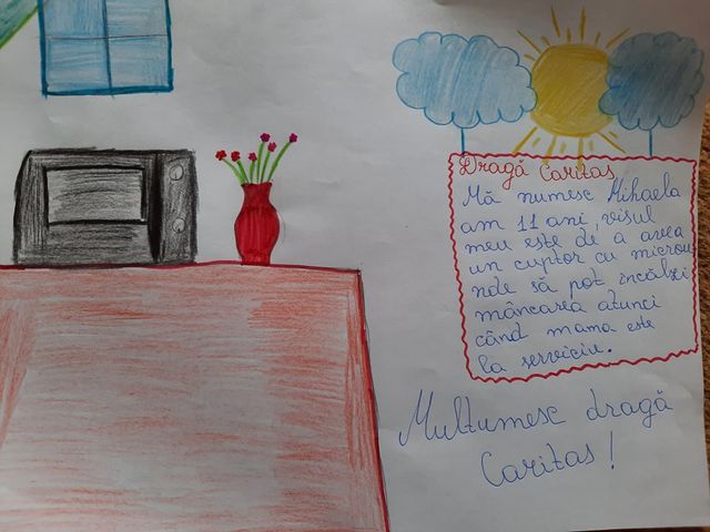 1. Mihaela Cuptor cu microunde