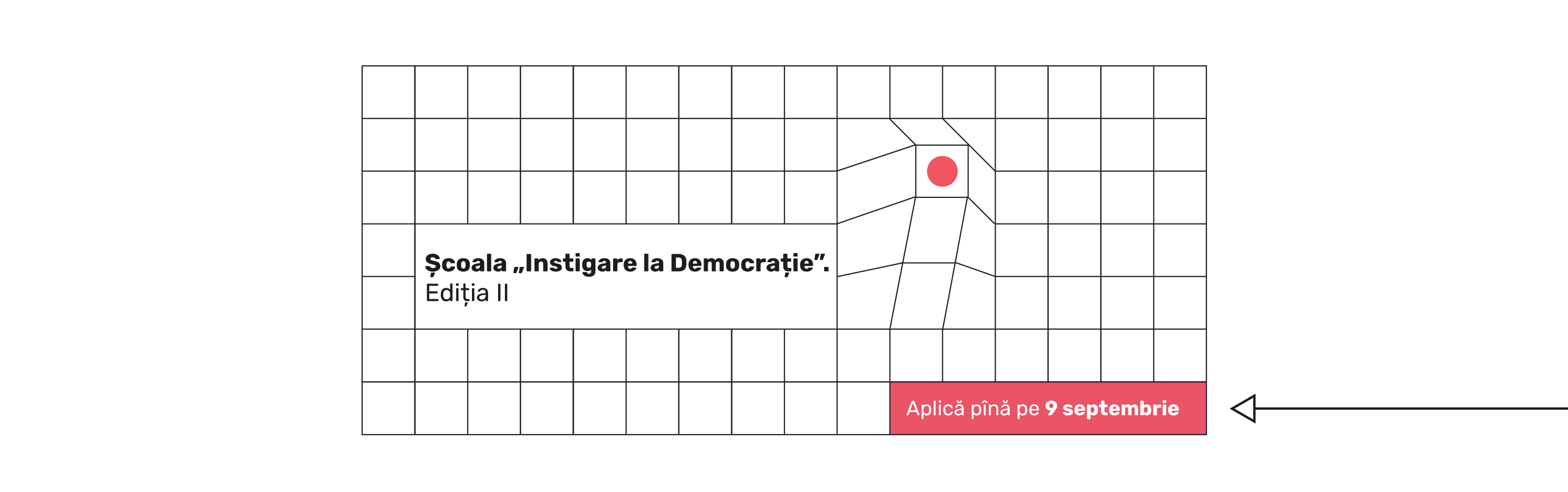 Banner website instigare la democratie 4