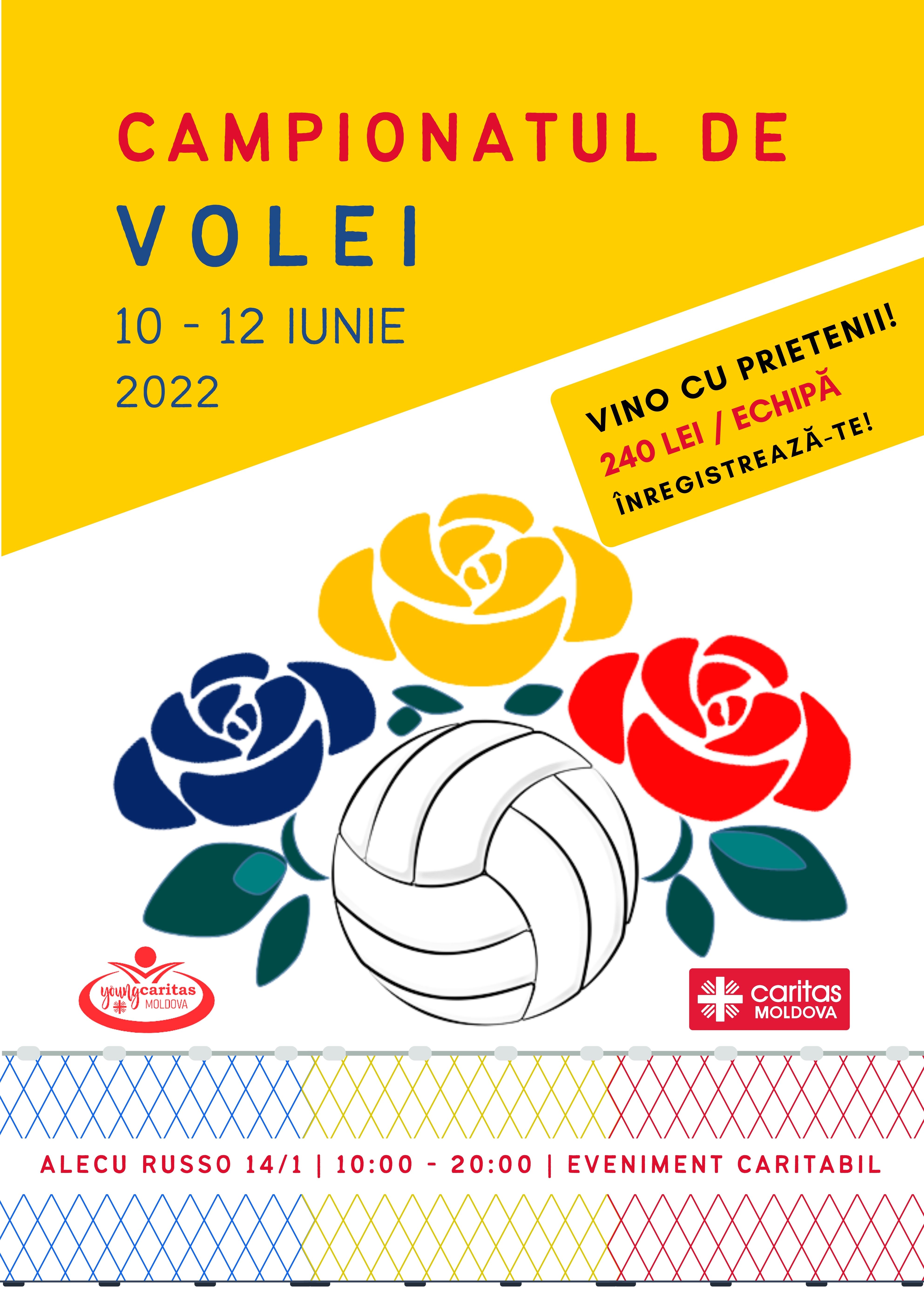 Volleyball Tournament Sport Poster