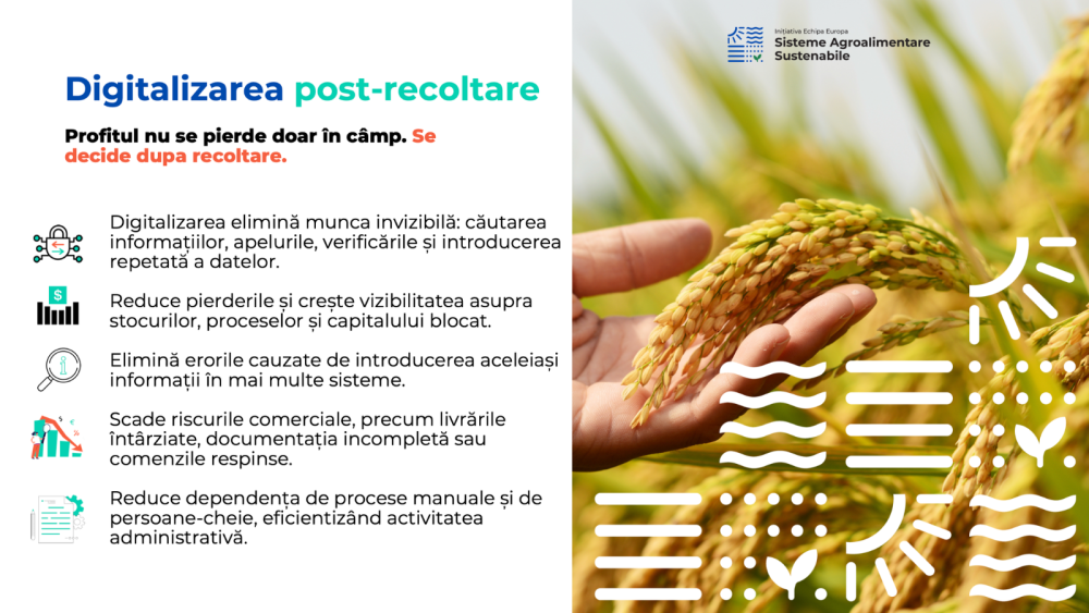 BIRP digitalizare