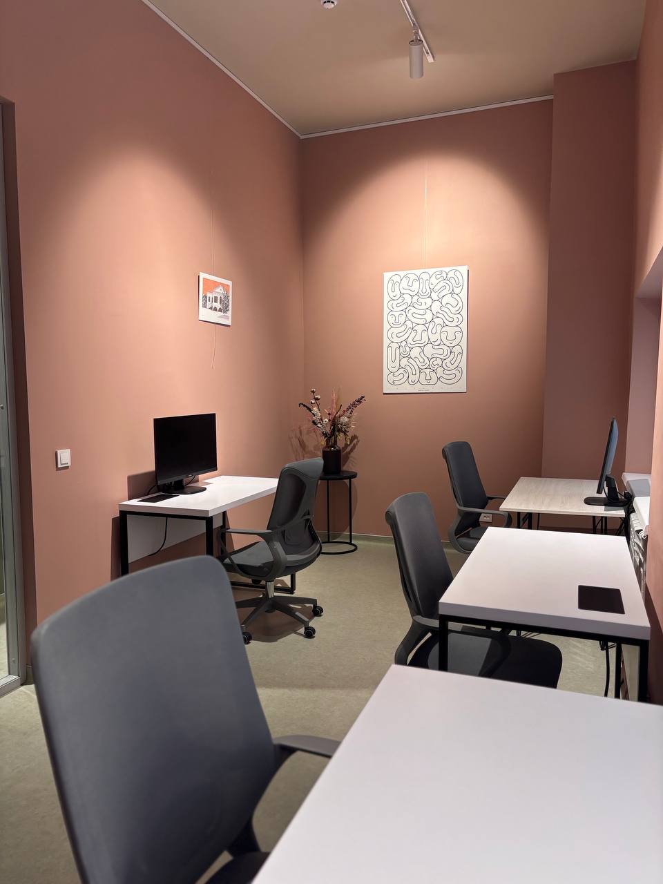 photo 5206605376692883272 y