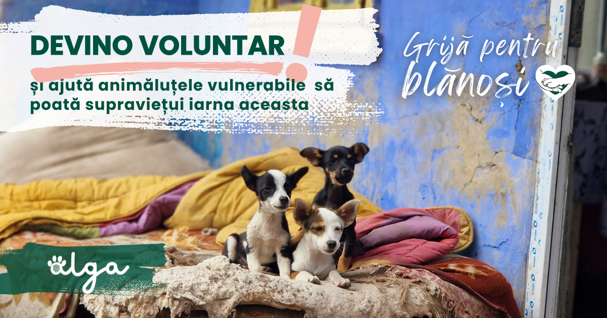 Fii vocea celor care NU pot vorbi